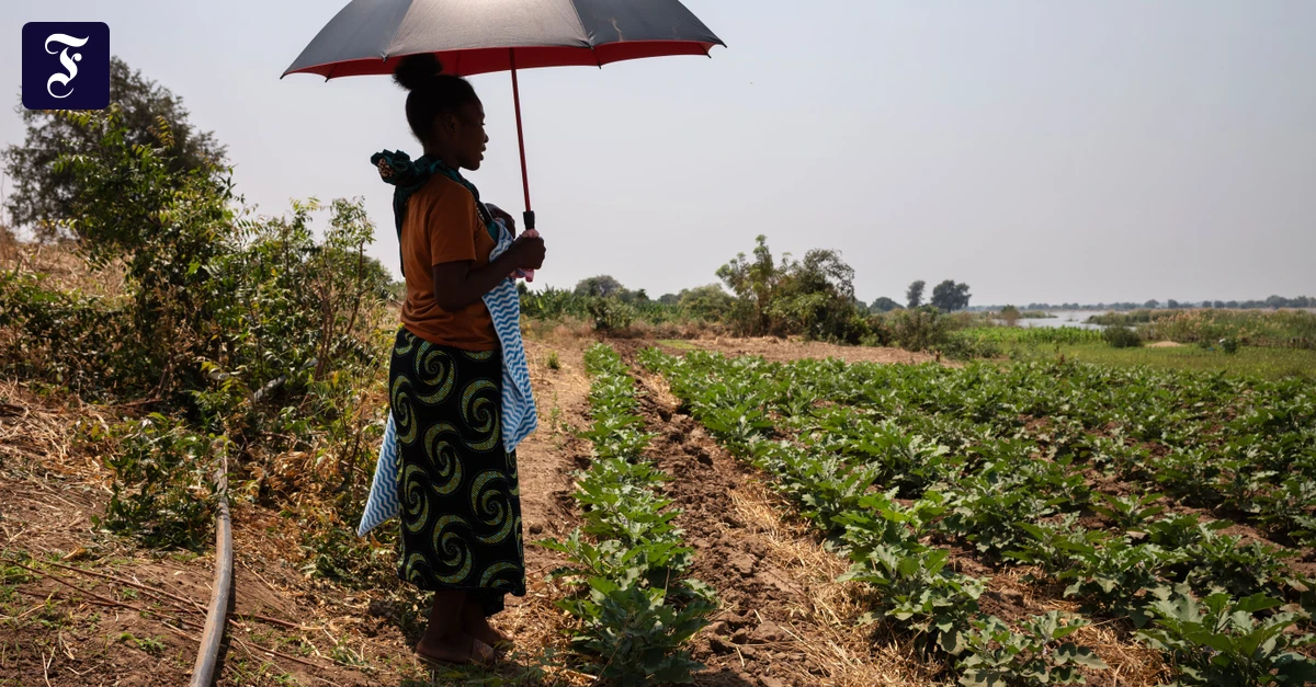 F.A.Z.-Leser Helfen: Hoffnung zum Osterfest