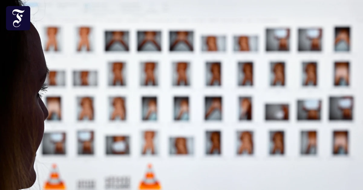 EU-Digitalpolitik: Politporno