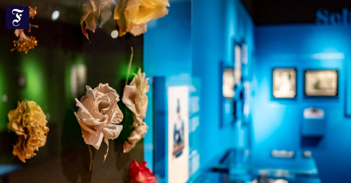 Museum Steinfurth: Die Rose mit allen Sinnen wahrnehmen