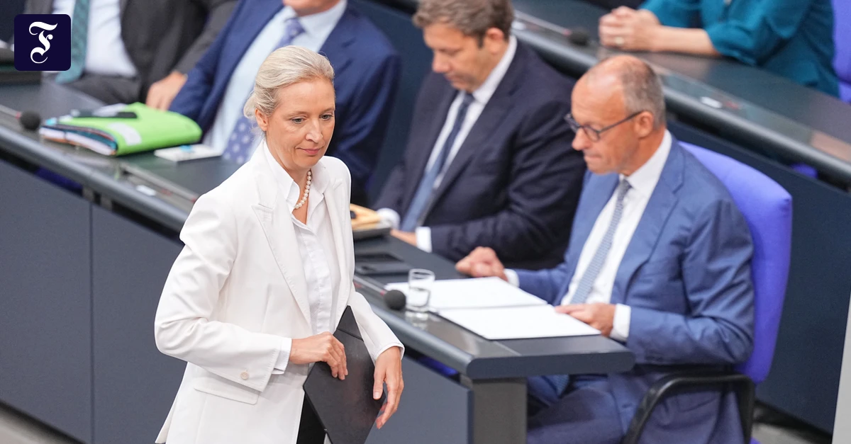 Internes Papier: Was die AfD bei einer Minderheitsregierung der Union tun würde