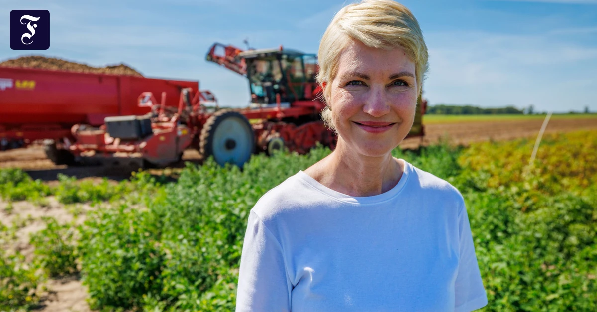 TV-Duell bei RTL/ntv: Schwesig und die AfD, allein zu Haus