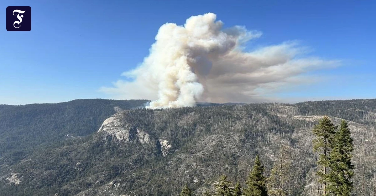 Kalifornien: Löschhubschrauber stürzt im Yosemite-Park ab – zwei Tote