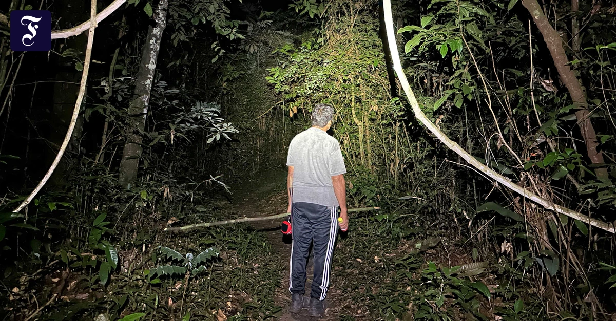 Brasilien: Wie man eine Woche im Regenwald lebt