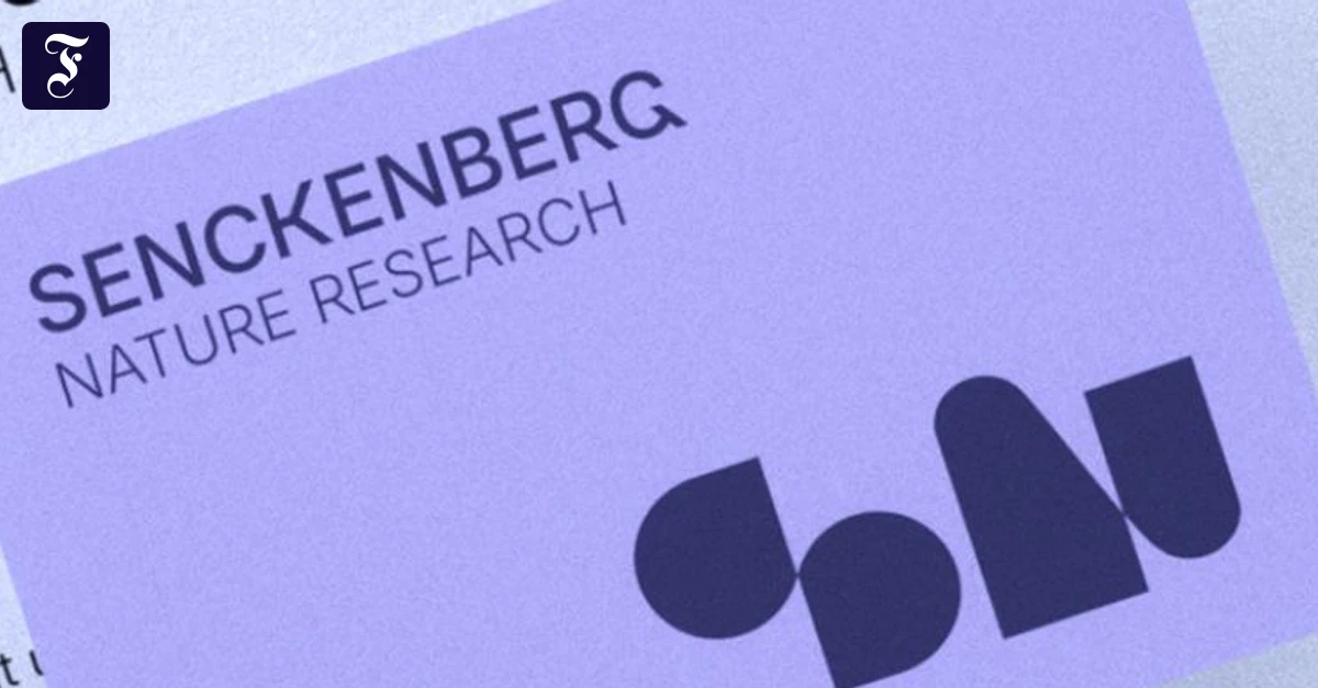 Wappen und Markenzeichen: Was ein Logo können soll