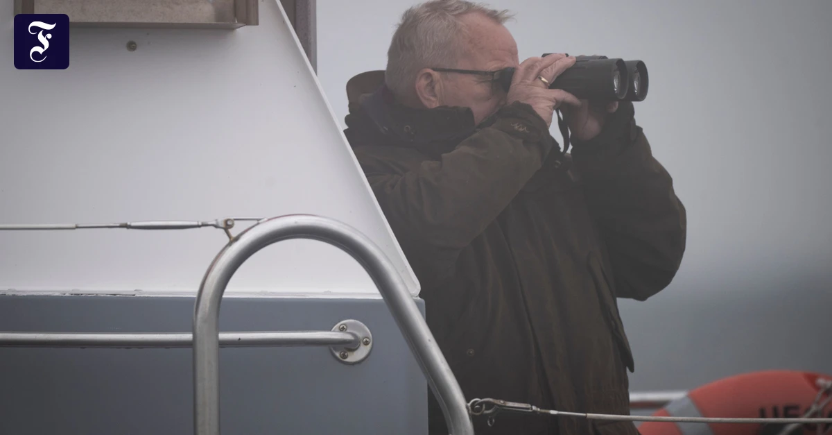Mecklenburg-Vorpommern: Wie Till Backhaus die Rettungsaktionen für den Wal in der Ostsee koordinierte