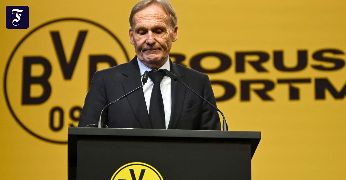 Wahl zum BVB-Präsidenten: Die Kränkung des Hans-Joachim Watzke