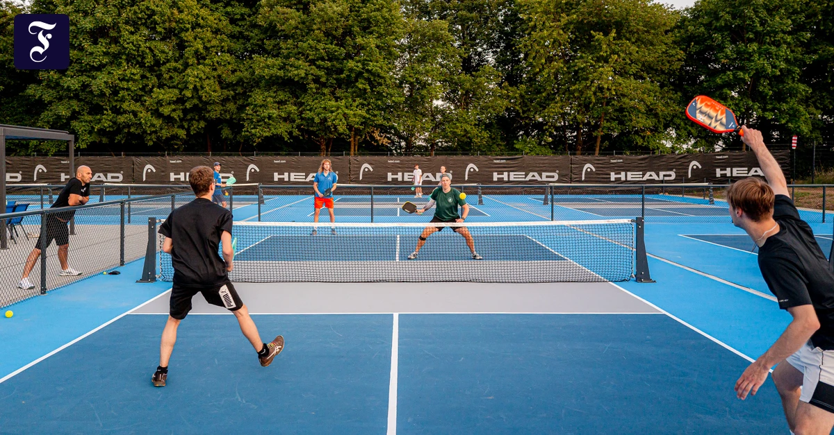Pickleball: The Perfect Blend of Tennis and Badminton