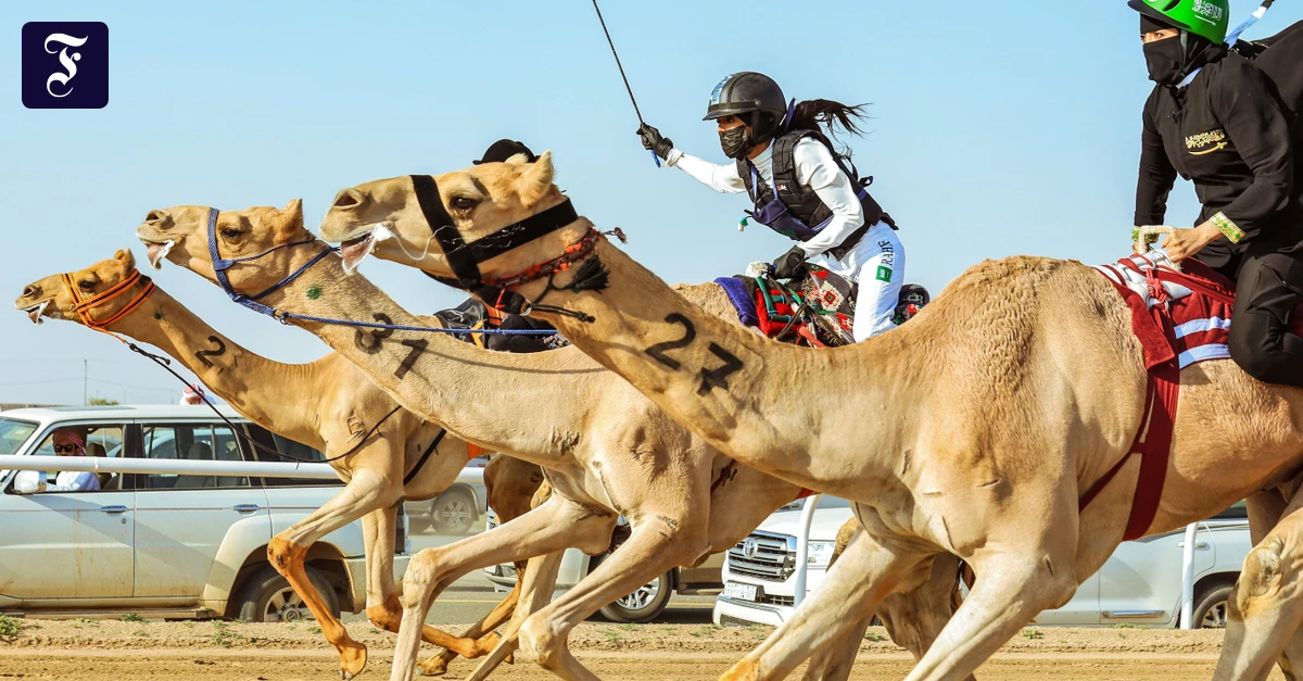 Schluss-mit-Biathlon-und-Co-W-ste-statt-Winter