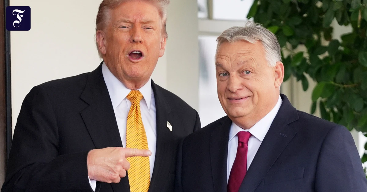 Liveblog-USA-unter-Trump-Trump-besucht-unter-Druck-geratenen-Orb-n-in-Ungarn