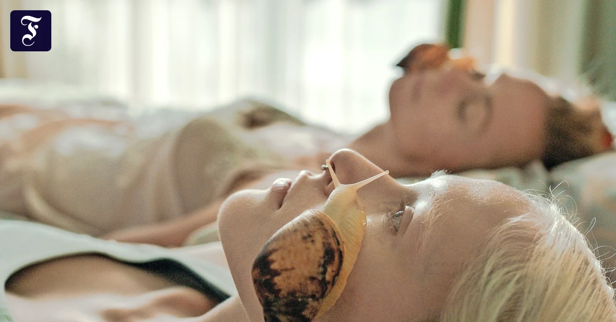 -White-Snail-im-Kino-Schnecke-ohne-Haus