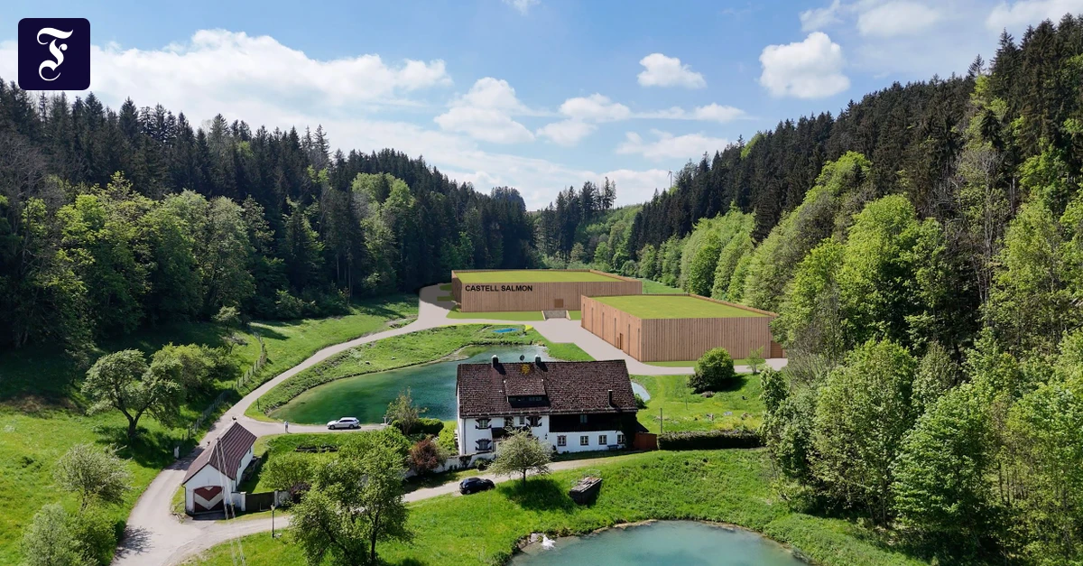 -Castell-Salmon-Lachsfischen-im-Allg-u