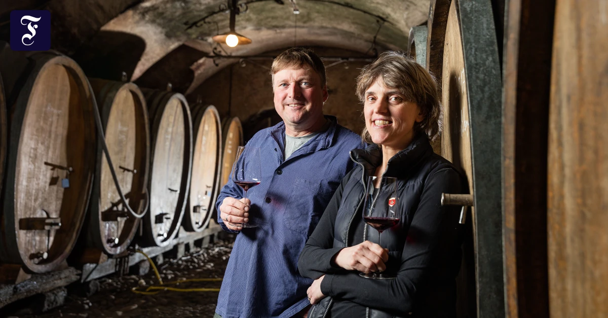 Sekt-Empfehlung-So-sto-en-Sie-mit-Stil-auf-2026-an