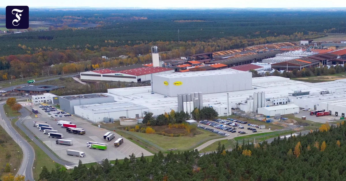 Neuansiedlung-in-Brandenburg-Red-Bull-verleiht-Umweltsch-tzern-Fl-gel