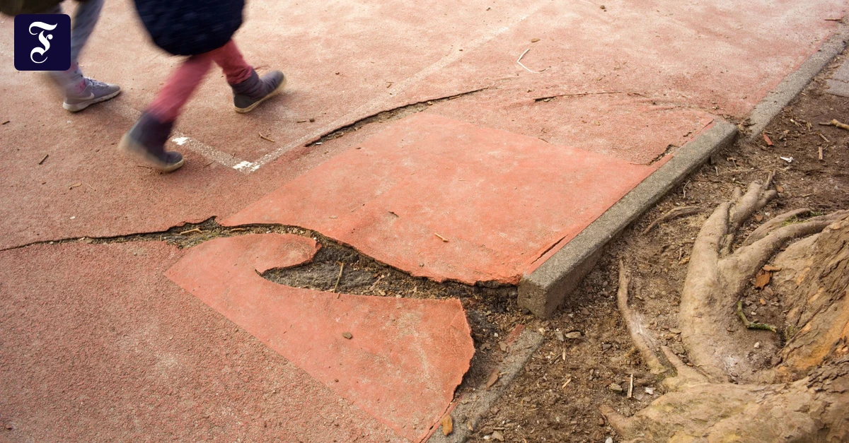 NS-Symbole-in-der-Schule-Wenn-es-an-Bildung-und-Erziehung-fehlt