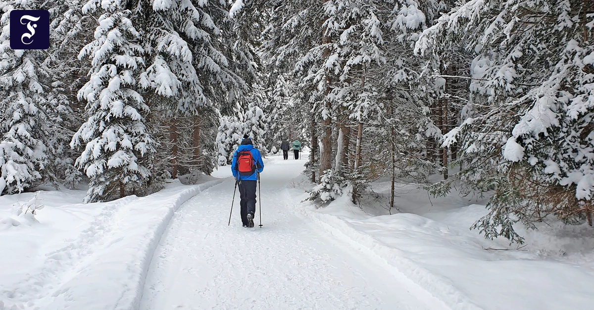 Sanfter Wintertourismus: Die Stille ist überwältigend