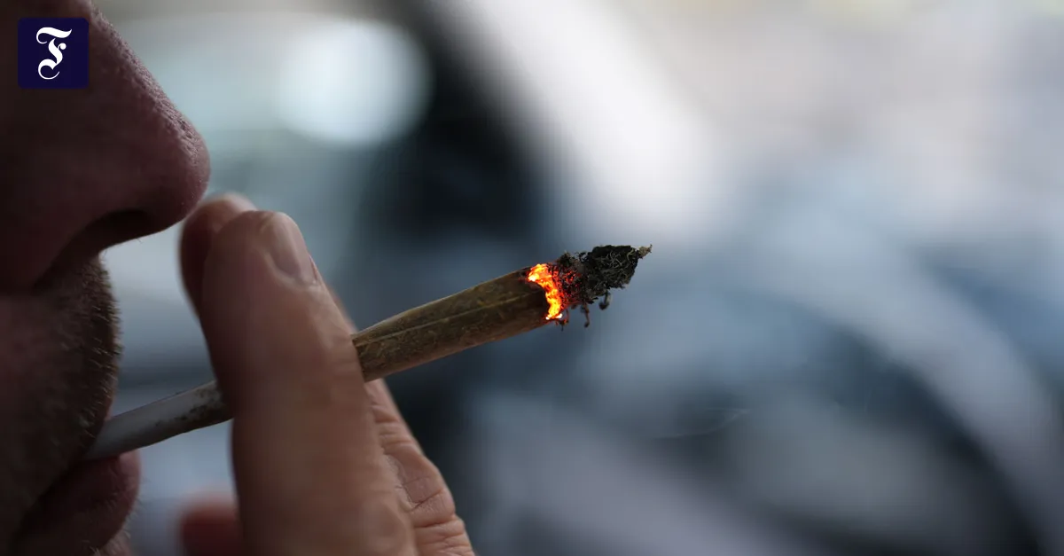 Wissenschaft im Dialog: War die Cannabis-Legalisierung richtig, Herr Werse?