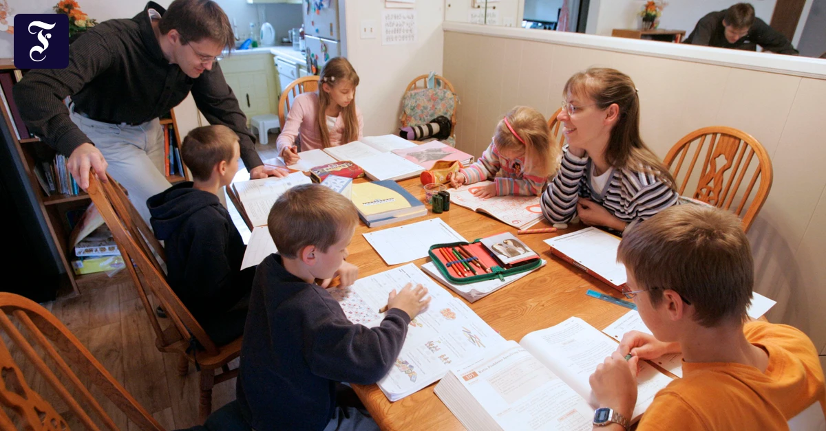 AfD-Schulpl&auml;ne: Homeschooling ist keine L&ouml;sung