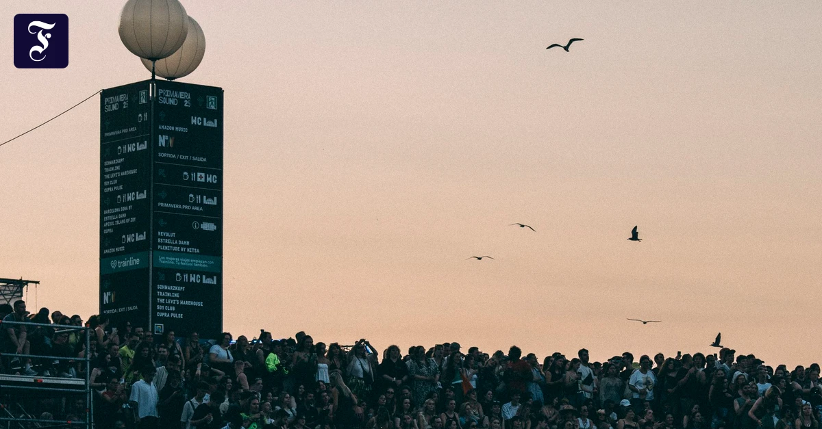 LiveMusik-Events: Können nur die ganz großen Festivals überleben?