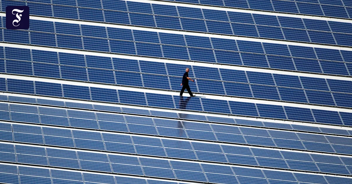 With BlackRock millions: Solar provider Enviria turns supermarkets into ...