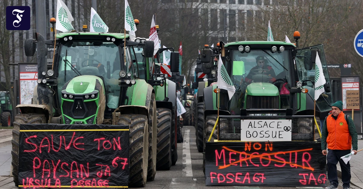 Verweis-an-den-EuGH-EU-Parlament-bremst-Mercosur-Abkommen-aus