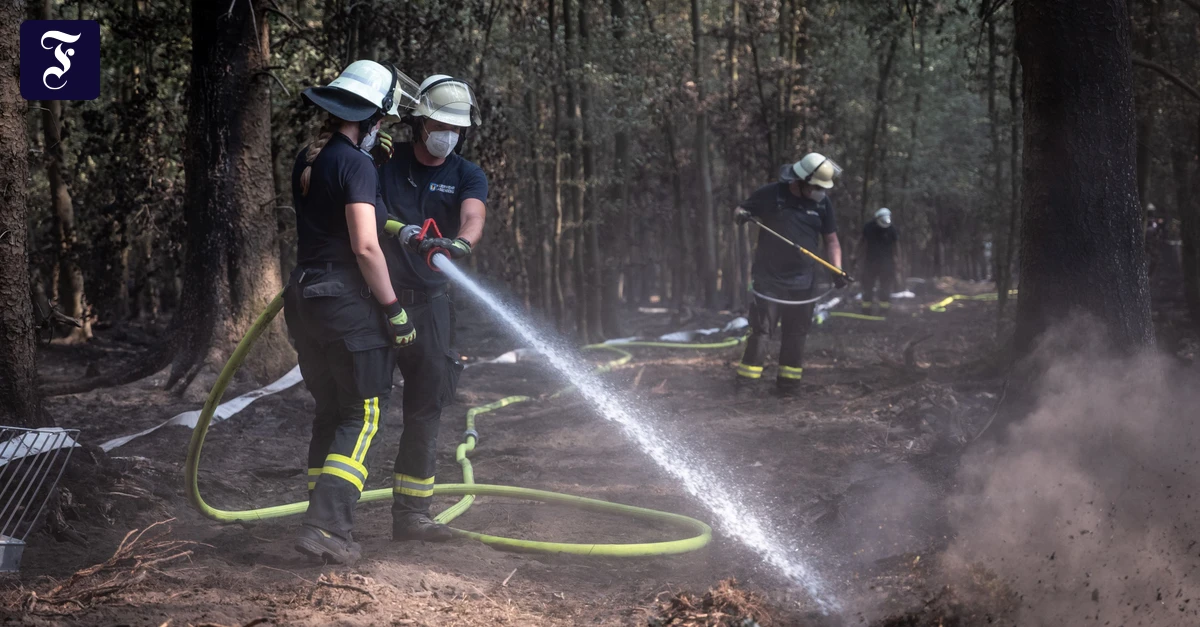 Nordrhein-Westfalen: Brand im Hürtgenwald vollständig gelöscht