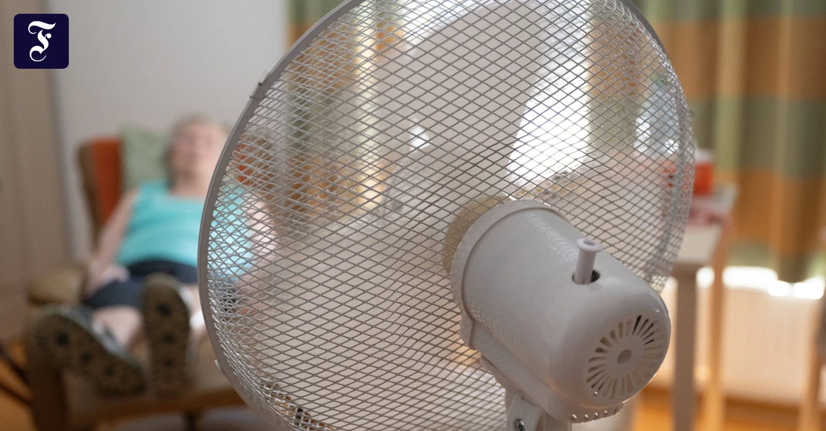 Ventilatoren oft ausverkauft: Diese Geräte bringen Erleichterung an Hitzetagen