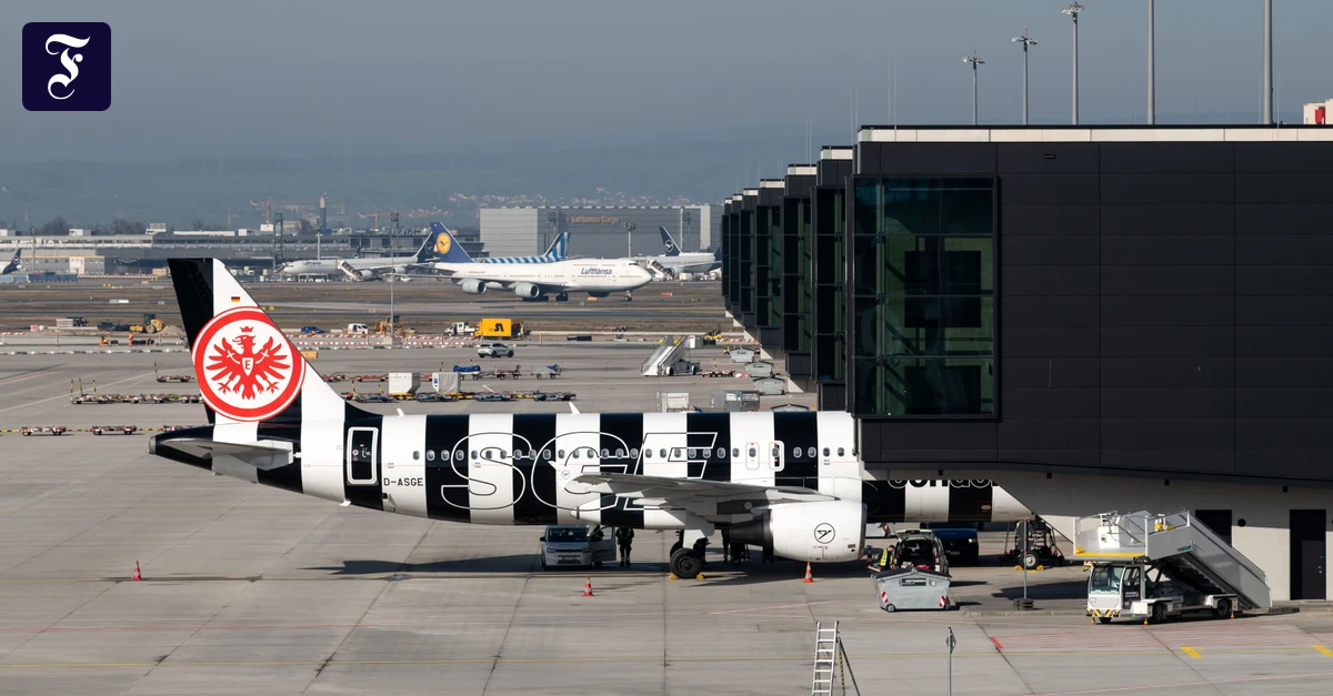 Luftverkehr: Bundeskabinett bringt Steuersenkung auf den Weg