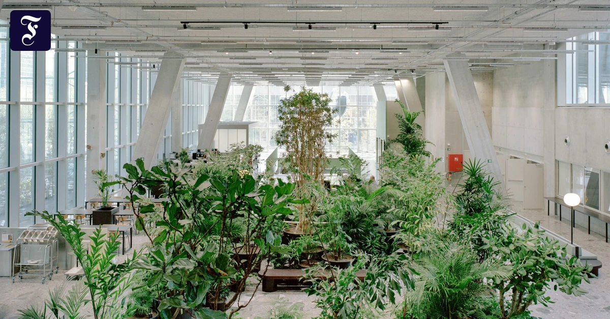 Hochhausumbau-in-Br-ssel-Ein-Gartenreich-f-r-B-rokraten