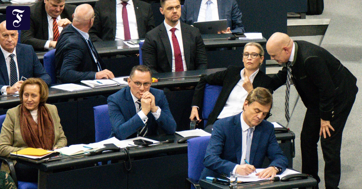 Strategie der AfD: Regeln brechen – und durch die Reaktion der anderen gewinnen