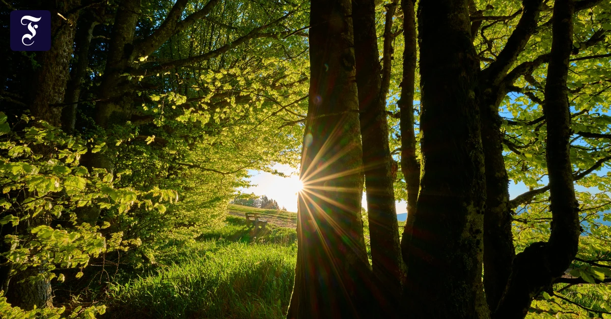 Roman um drei Frauen: Der tote Vater bleibt schön in seinem Grab