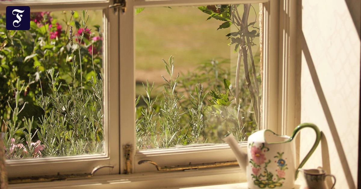 "Home Renovation Guide: When to Repair vs. Replace Windows, Bathrooms & Insulation for Cost-Effective Upgrades"