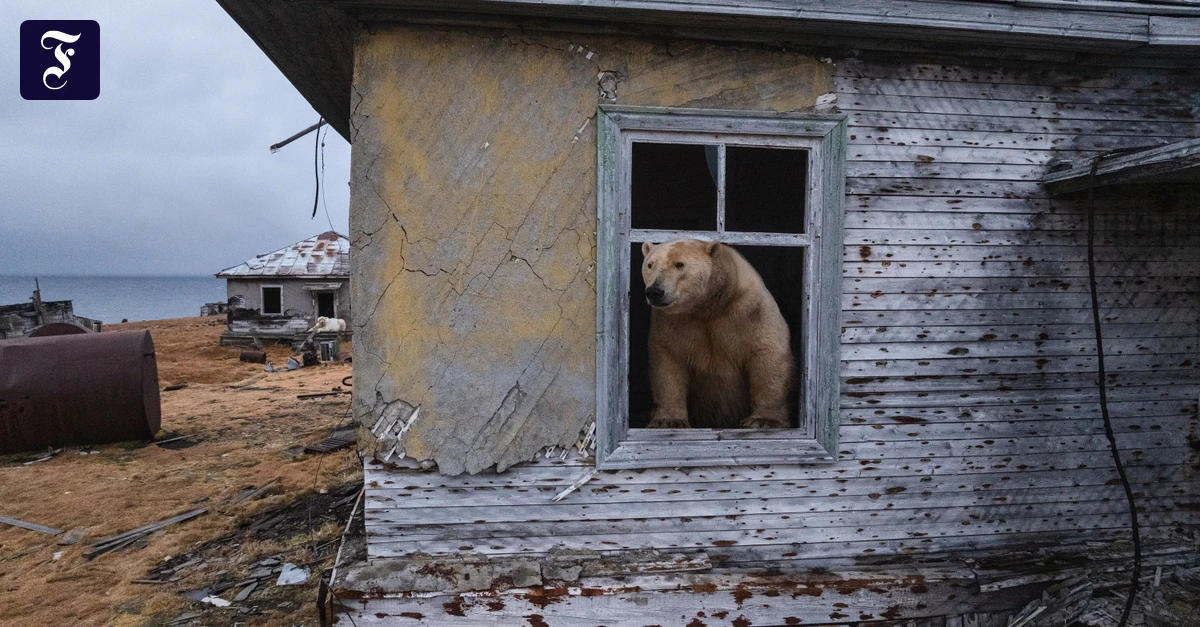 Kolumne-Zur-ck-zur-Natur-Ohne-Abstand-keine-gute-Nachbarschaft