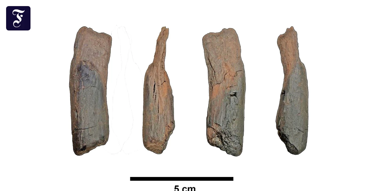Altsteinzeit: So alt ist das bisher früheste Holzwerkzeug