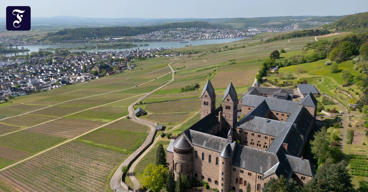 Weinbau-in-der-Krise-Was-sollen-Winzer-pflanzen-