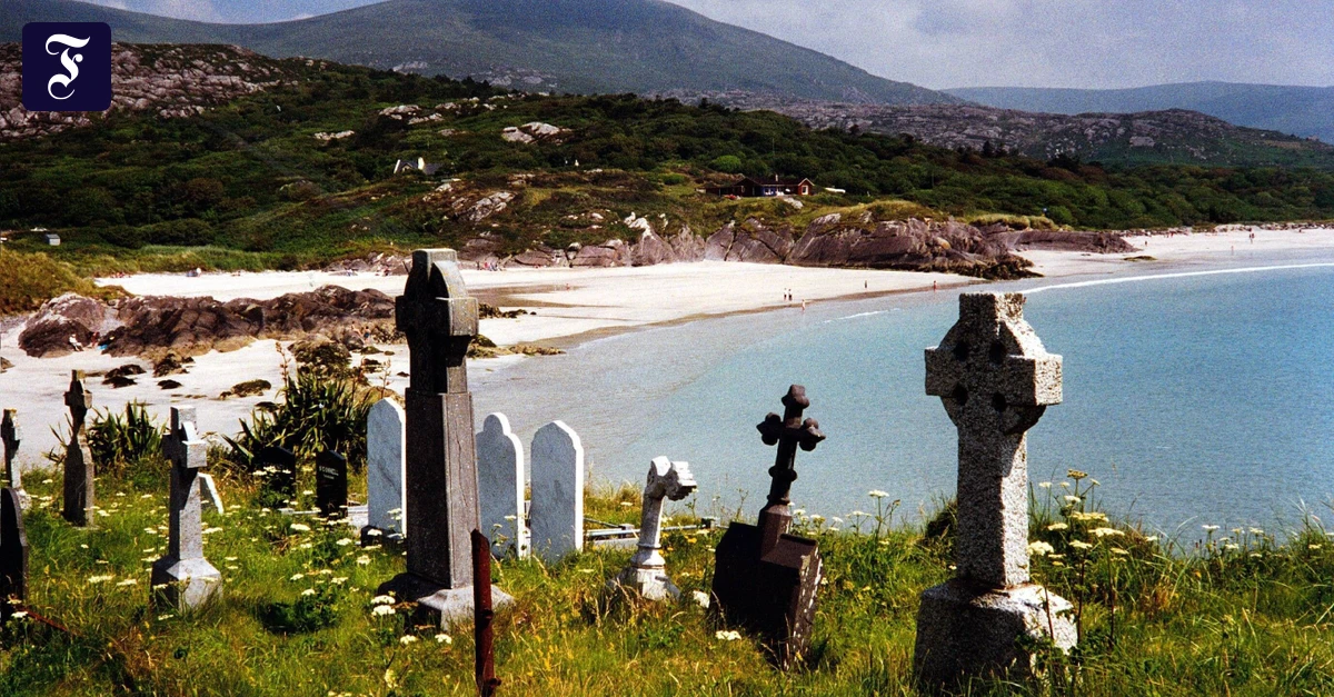 Kleinstadtkrimi: Die Grüne Insel und ihre Leichen im Keller