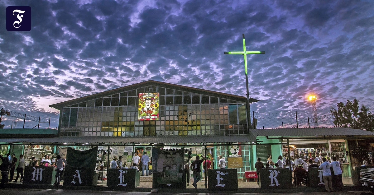 Sinaloa-in-Mexiko-Tote-Narcos-leben-l-nger