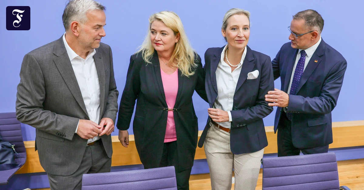 Landtagswahlen: Was die AfD aus ihrem Herbst der Rekorde lernt