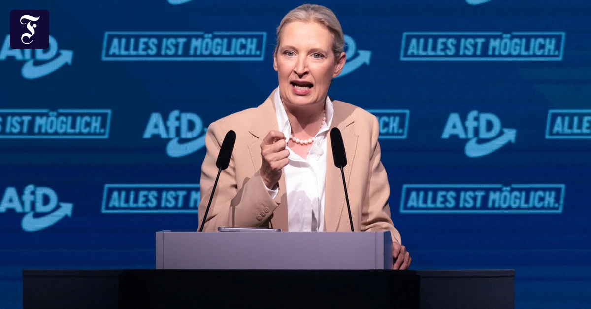 Kommentar: Wofür man Weidel danken muss