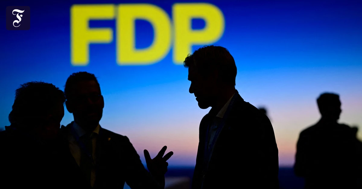 FDP-Programmatik: Der doppelte Befreiungsschlag