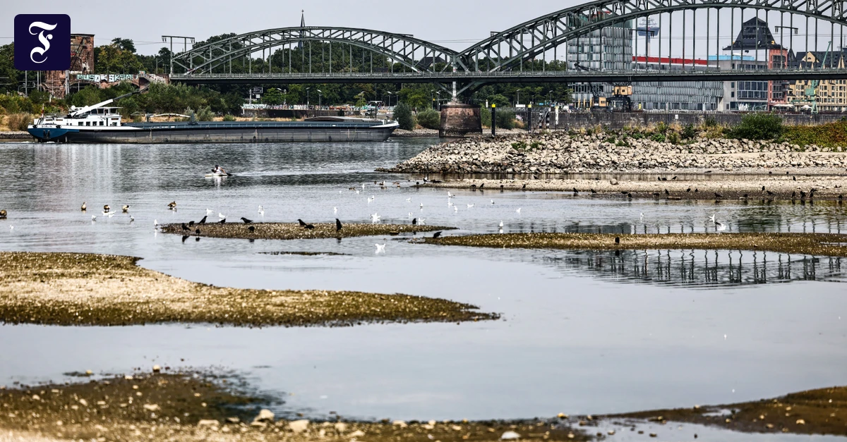 Low water vessels on the Rhine: Why 1,000 ships are missing