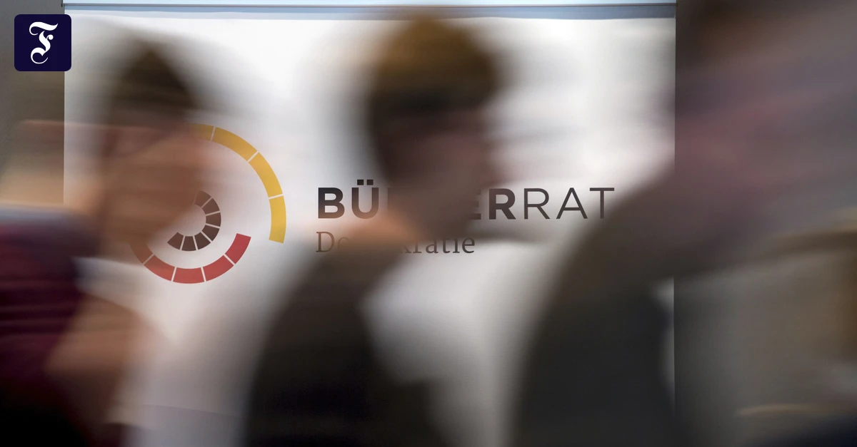 Teilhabe-und-Demokratie-B-rgerr-te-als-Feigenblatt