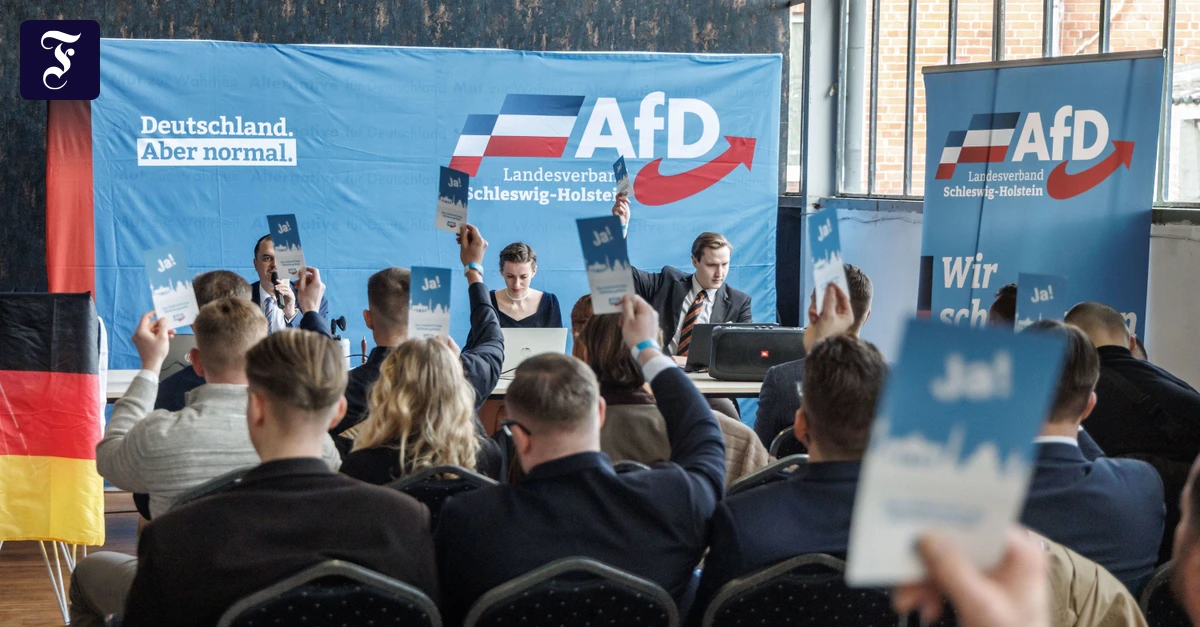 Deutschland-Blog-Bundesinnenminister-Keine-M-igung-in-neuer-AfD-Jugendorganisation