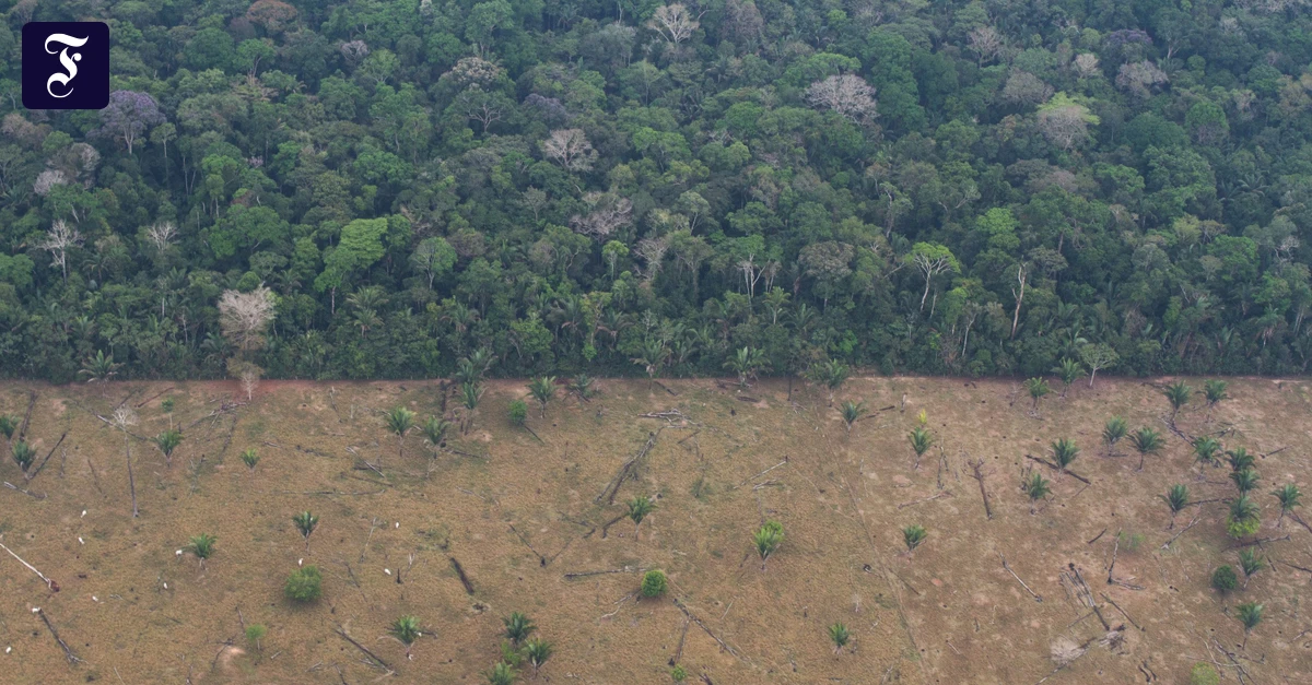 weltbiodiversit-tsrat-jetzt-ist-die-wirtschaft-am-zug