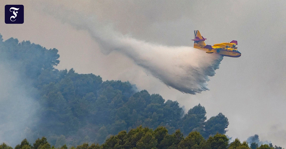 Forest fire near Valencia out of control