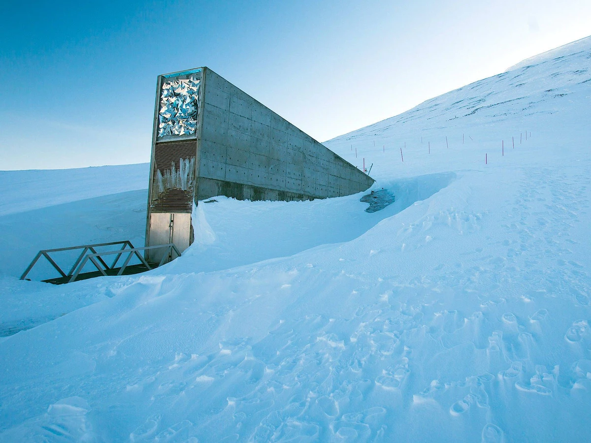 Saatgut-Tresor auf Spitzbergen droht zu sinken