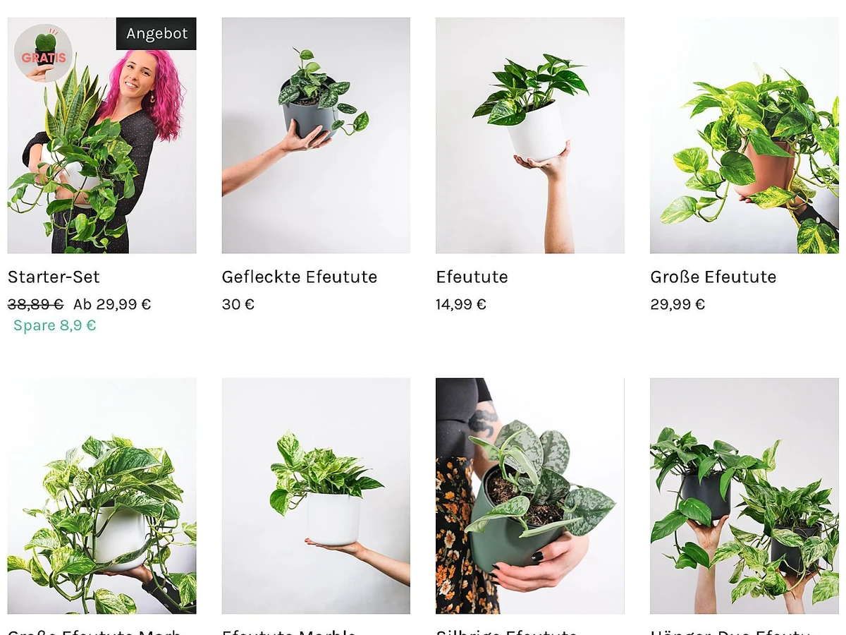 Onlineshop Feey: Glcksfeder und Monstera per Post | FAZ