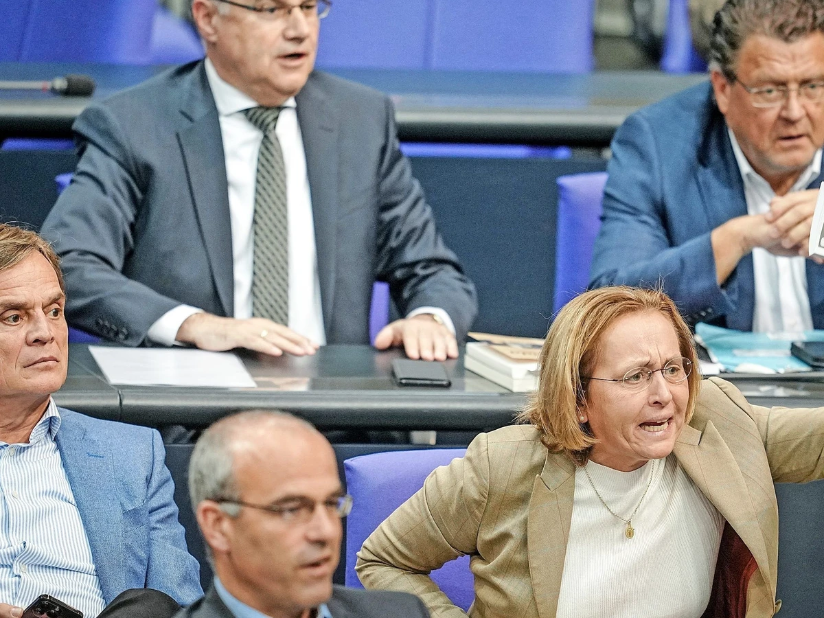 AfD ändert Stimmung im Bundestag: Wenn der Feind mithört | FAZ