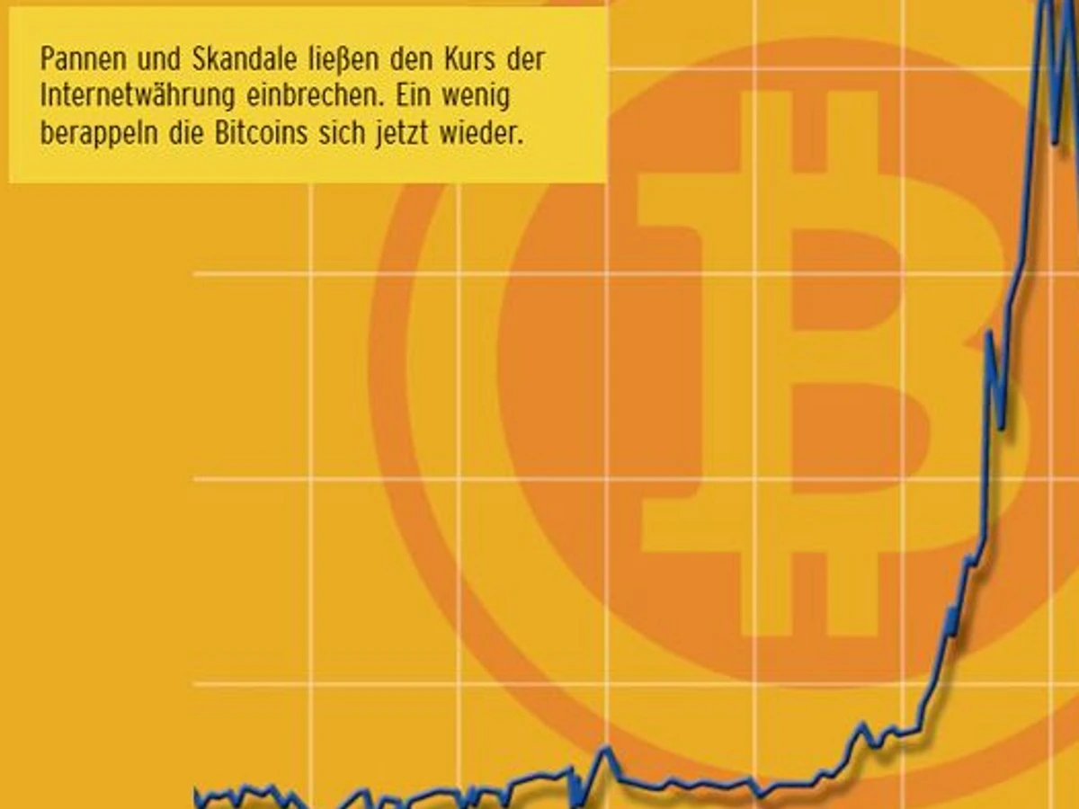 Bitcoin - Aufstieg und Fall einer seltsamen Währung | FAZ