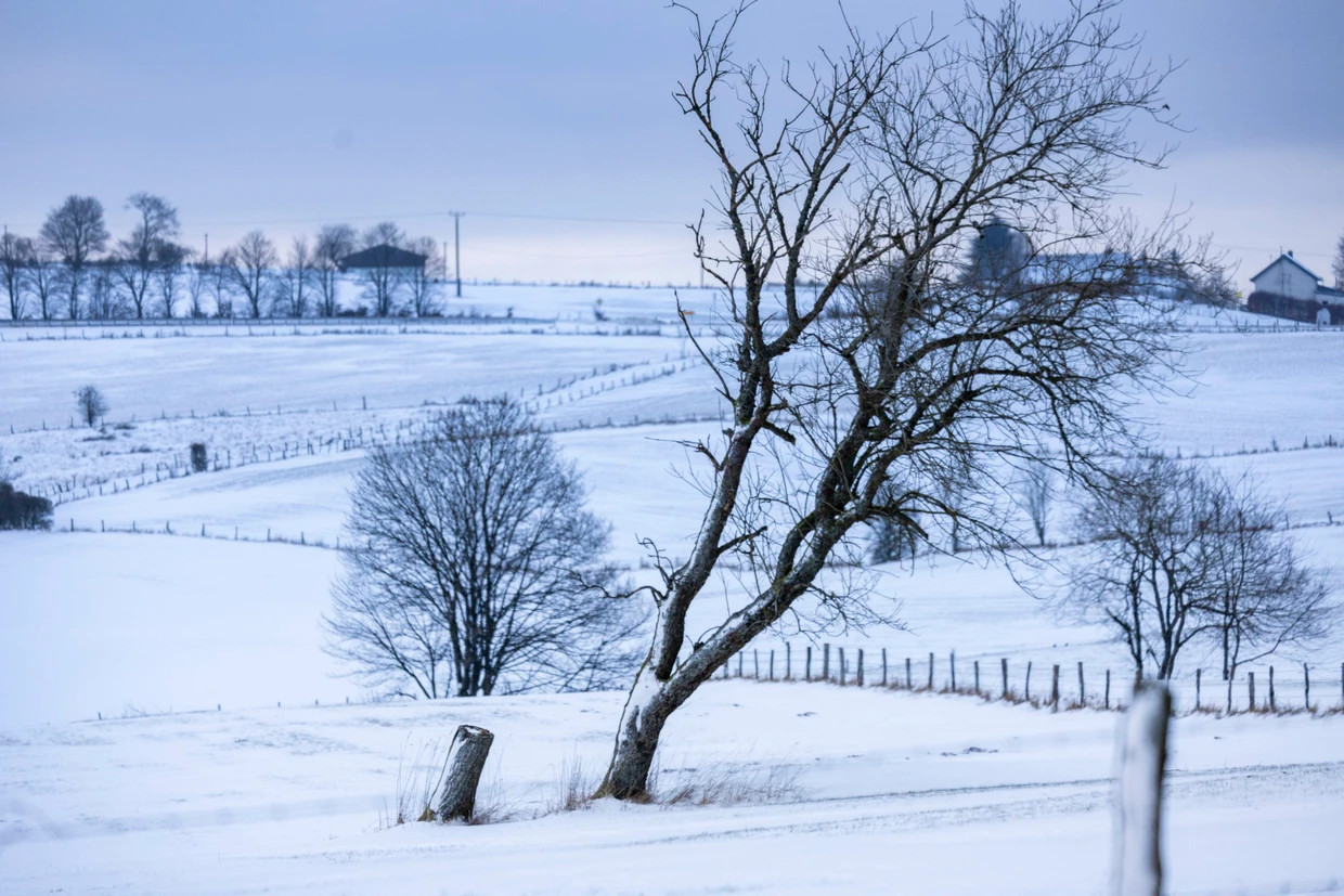 Leise rieselt der Schnee: Winterlandschaft in der Eifel
