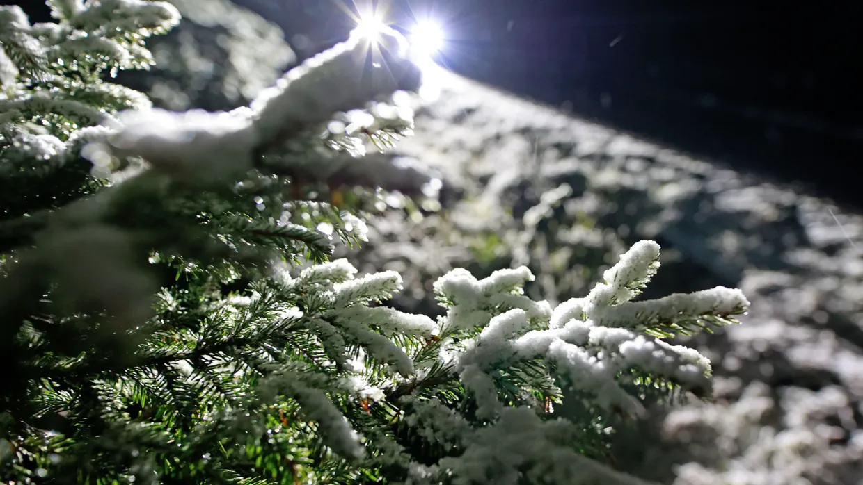 Schierke in Sachsen-Anhalt: In der Nacht zum Dienstag gab es in den oberen Harzregionen Neuschnee.